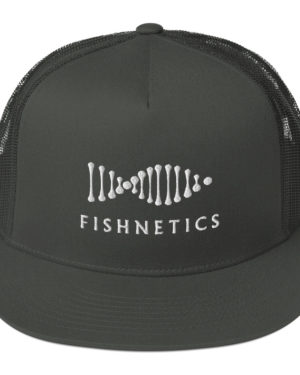 Flat Brim Hat