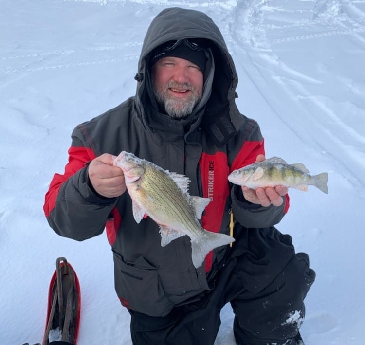 Whitebass and a perch to register in the Battle on Bago